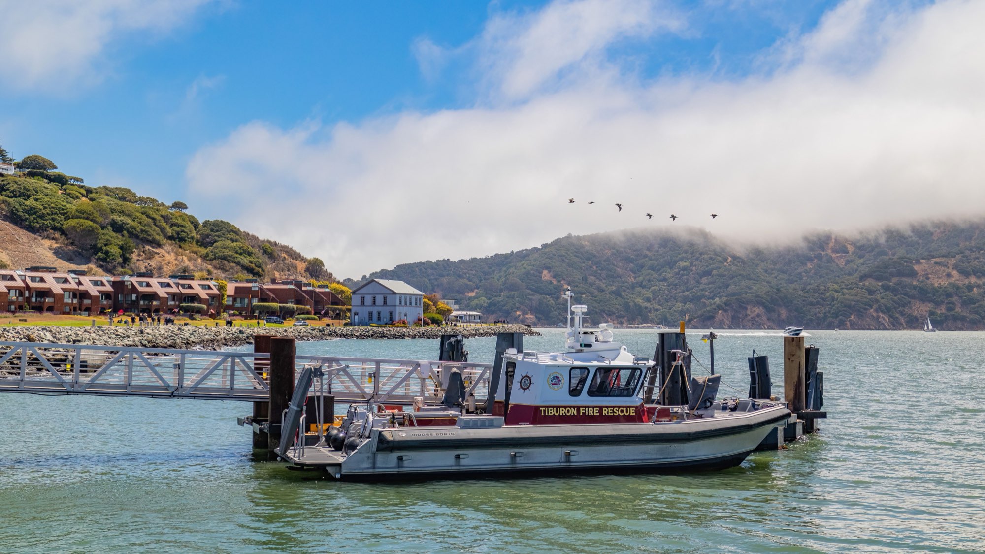Tiburon Porta Potty Rental